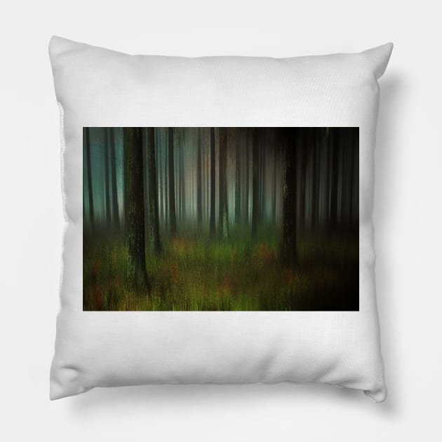 Forest Shadows Pillow by JimDeFazioPhotography