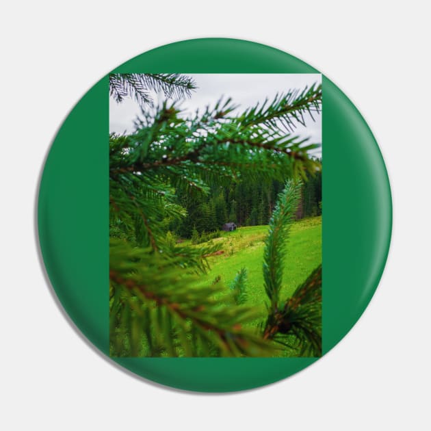 Old house in the forest Pin by psychoshadow