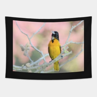 Oriole Singing... Tapestry