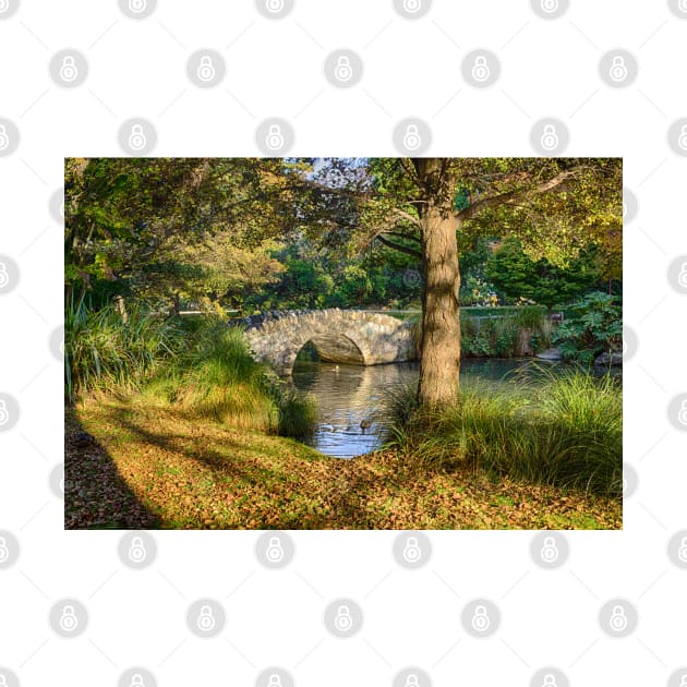 Autumn Morning Reflections at the Arched Bridge by Rexel99