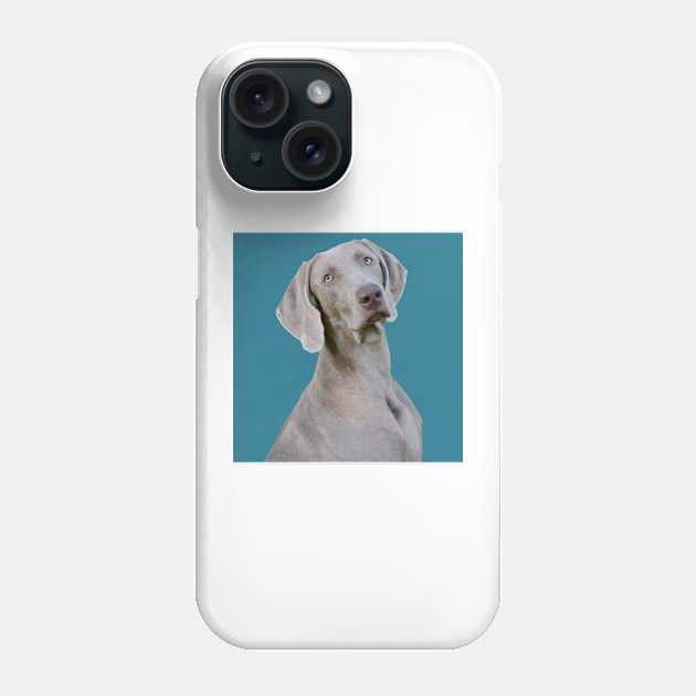 Turquoise Weimaraner Phone Case by Noamdelf06