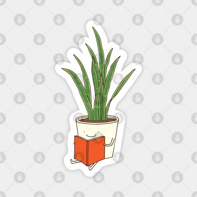 indoor plant Magnet by milkyprint