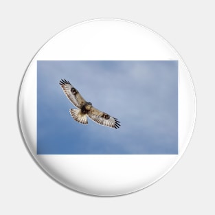 Rough-legged hawk Pin