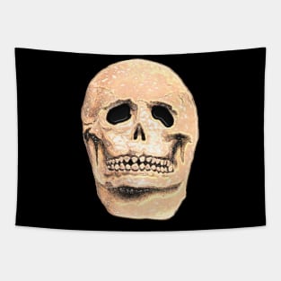 halloween skull mask Tapestry