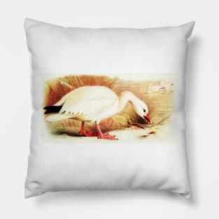 The Snow Goose Pillow