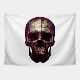 Dark Skull On The Fence Tapestry