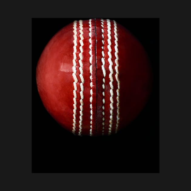 Cricket Ball by adrianbrockwell