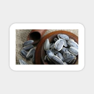 Sunflower seeds Magnet