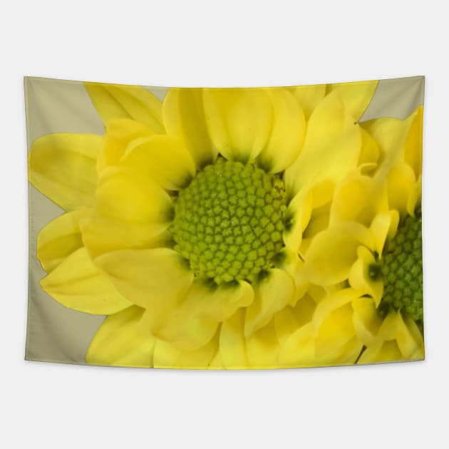 Yellow Flowers Botanical Floral Garden Tapestry by eleonoraingrid