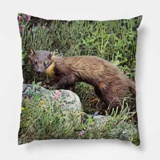 Pine Marten Pillow