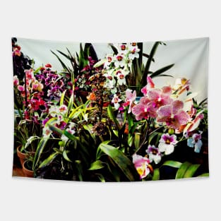 Orchids in the Garden Center Tapestry