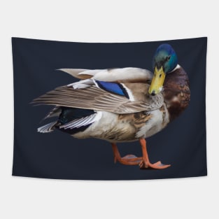 The Mallard or wild duck Tapestry