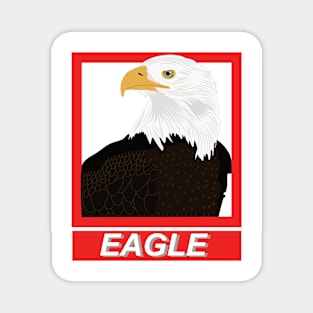 Illustration of a white-headed eagle Magnet