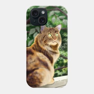 Maine Coon - Black Phone Case