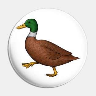 duck animal illustration, ducks family, wildlife, safari, Pin