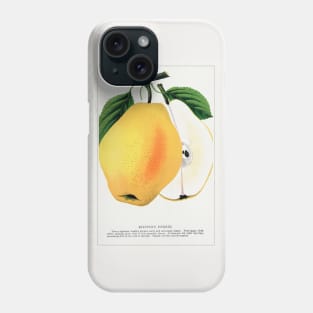 Kiefer's Hybrid Pear Lithograph (1900) Phone Case