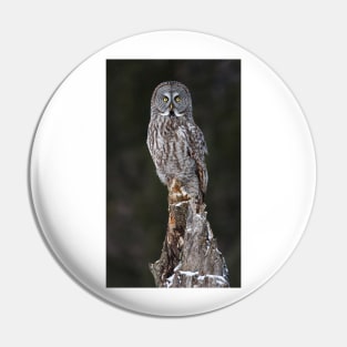 The Phantom - Great Grey Owl Pin