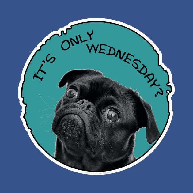 Only Wednesday by Vandalay Industries