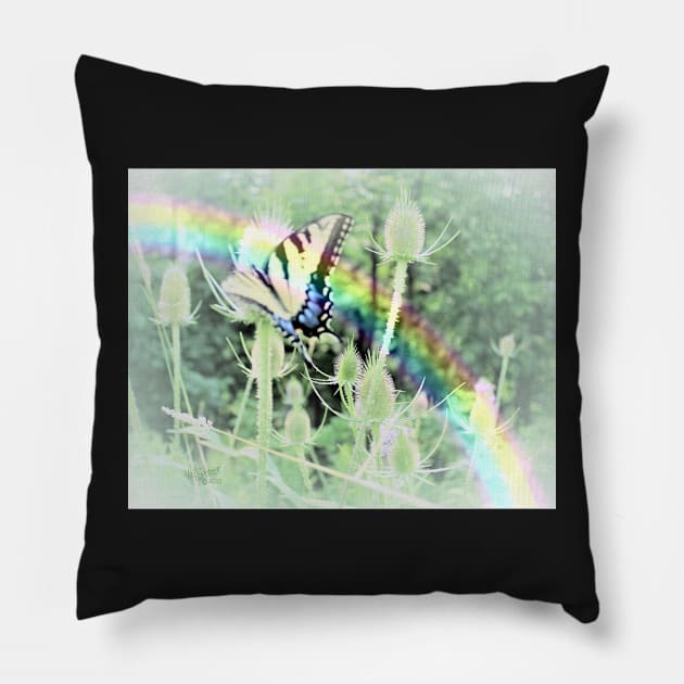 Swallowtail and Rainbow Pillow by Mzzart