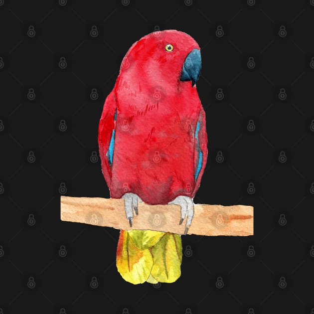 eclectus parrot watercolor red by Oranjade0122