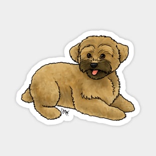 Dog - Yorkipoo - Apricot Magnet