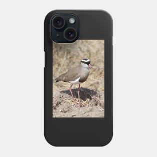 Crowned Plover, Kenya Phone Case