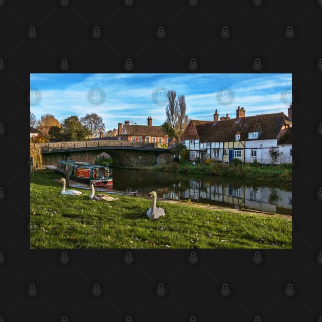 The Swan Family Visiting Hungerford by IanWL