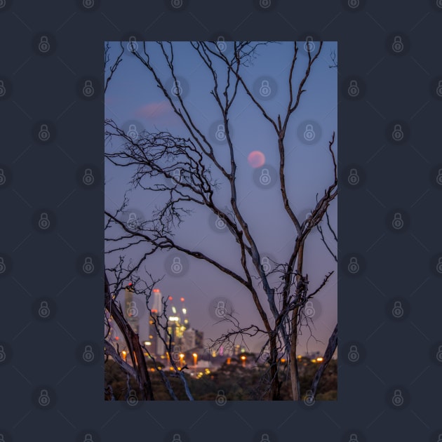 The Blood Moon Lunar Eclipse from Yarra Boulevard, July 2018 by VickiWalsh