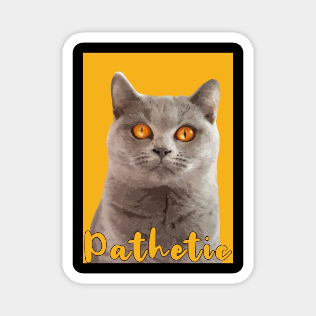 british shorthair with wide copper gold eyes saying pathetic Magnet by Arteria6e9Vena