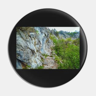 Rocky trail on mountains Pin
