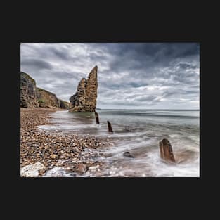 Seaham Chemical Beach T-Shirt