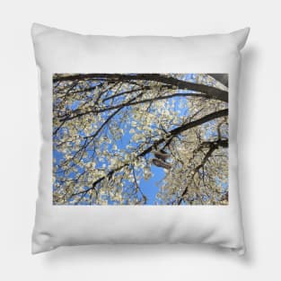 Brooklyn Blossoming Tree Pillow