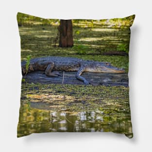 Resting Alligator in the Swamp Pillow