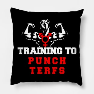 training to punch terfs Pillow