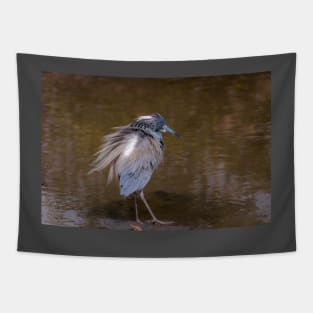 Tri-colored Heron Wind Blown Tapestry