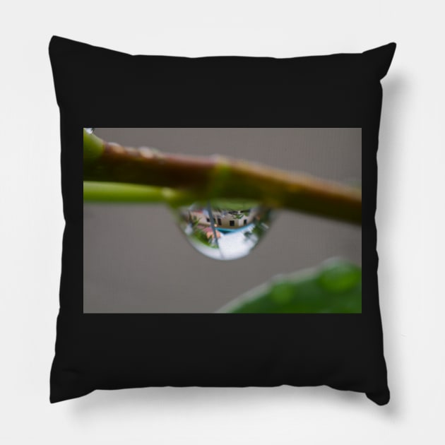 Raindrop mood clear Pillow by SCUBAddict