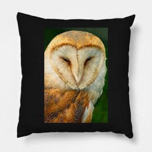 Barn Owl Pillow