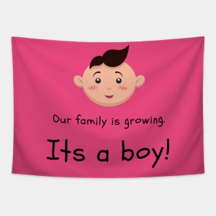 Love this 'Our family is growing. Its a boy' t-shirt! Tapestry