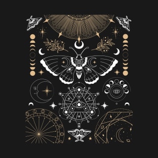 Luna Moth Moon Phases Witchy Dark Academia Aesthetic T-Shirt