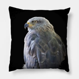 Kite Bird Animal Wildlife Forest Nature Free Flight Pillow