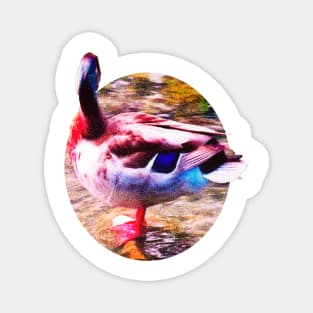 Duck on the Water Magnet