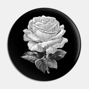 White Rose Black-White Illustration Pin