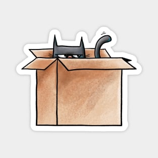 Cat in a Box Magnet