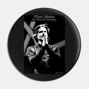 David Sylvian - Praise II Pin