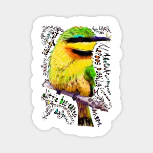 Little Bee-eater; Kleinbyvreter Magnet