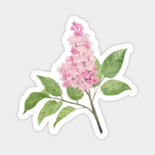 Light Pink Lilac Watercolour Painting Magnet