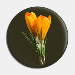 Crocus Pin