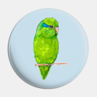 Green parrotlet Pin