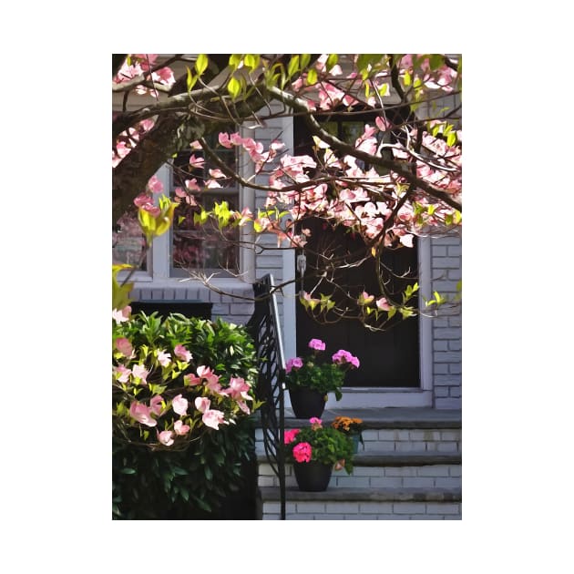 Pink Dogwood and Pots of Geraniums by SusanSavad