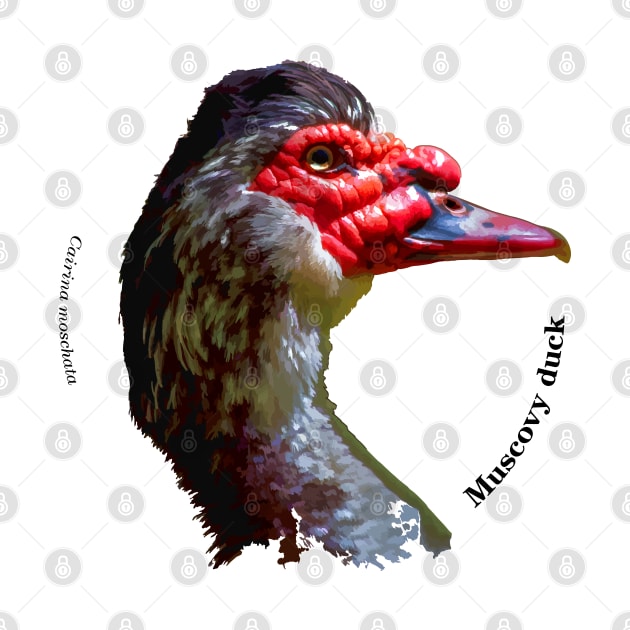 Muscovy duck head pin black text by Ornamentum